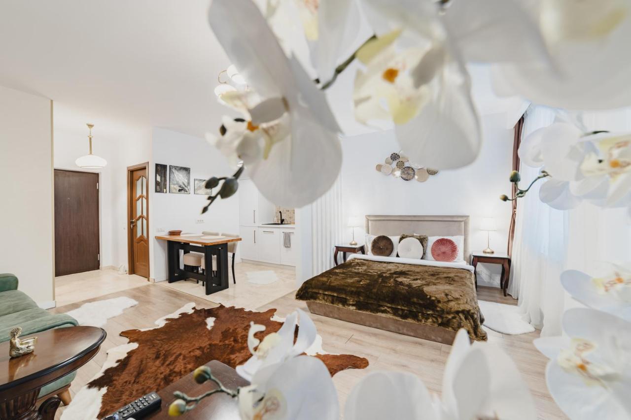 Apartment Seasons Atmosphere Studio Brasov