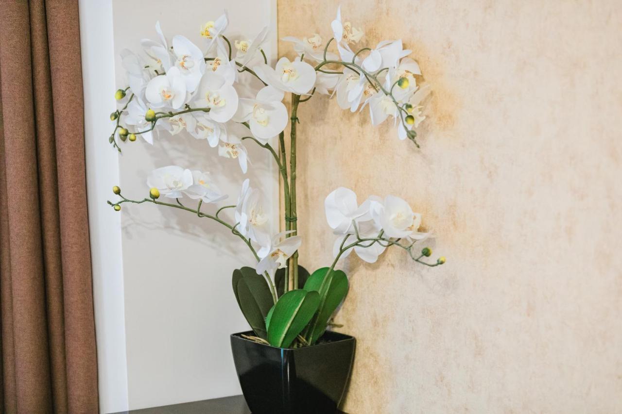 Seasons Atmosphere Studio * Brasov